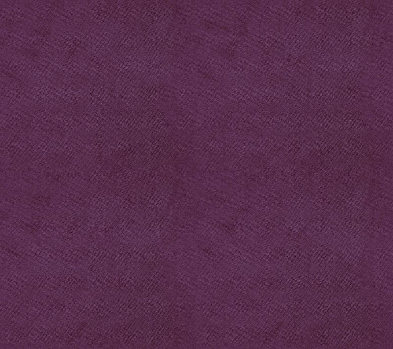 Alpha Blackcurrant