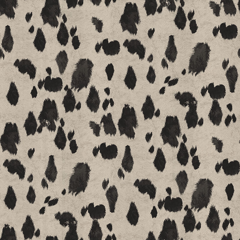Appaloosa Black
