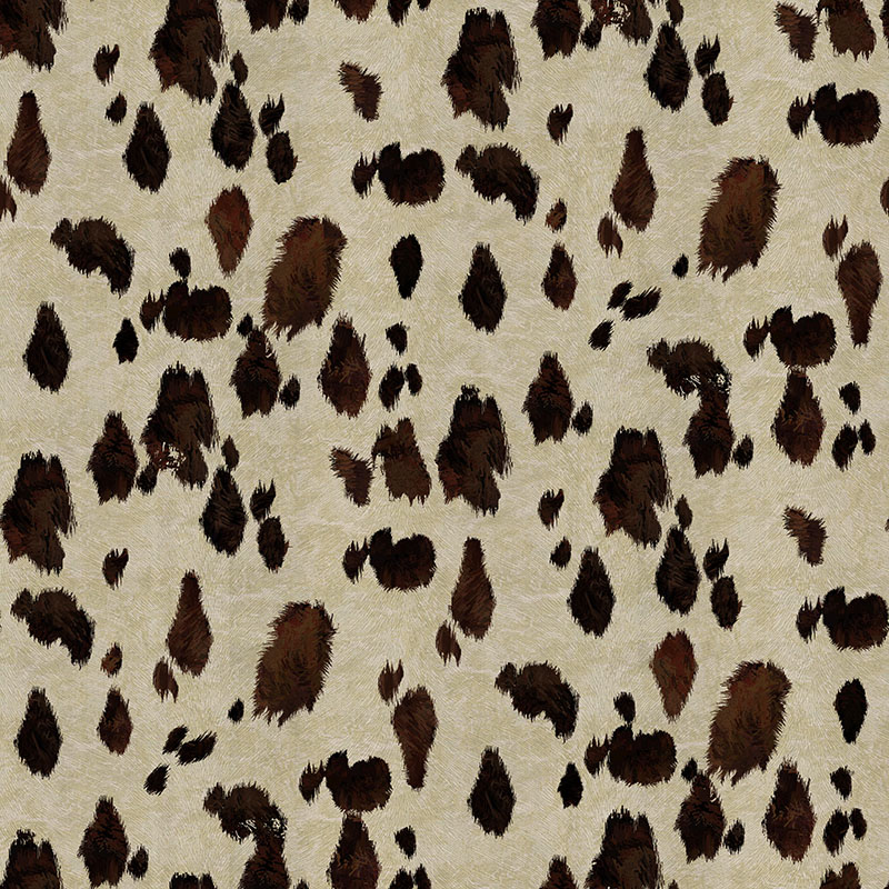 Appaloosa Brown