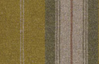 Austin Stripe Autumn Gold