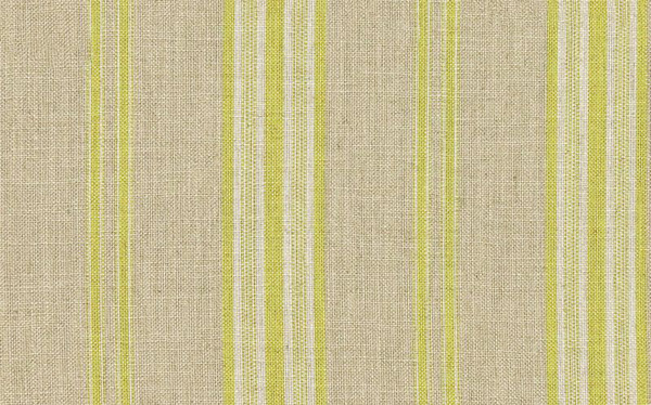 Backridge Stripe Citrus