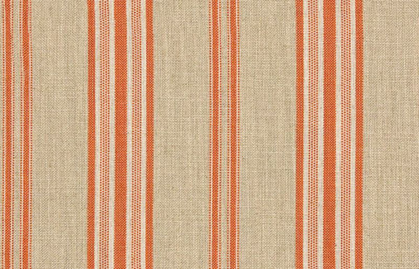 Backridge StripeClementine