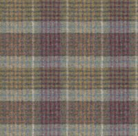 Bertie Colour 4