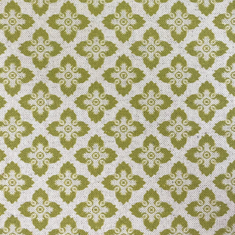 Design 2 Col Kiwi
