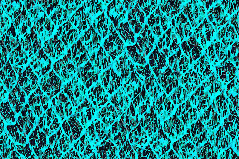 Crystal Velvet Print Turquoise
