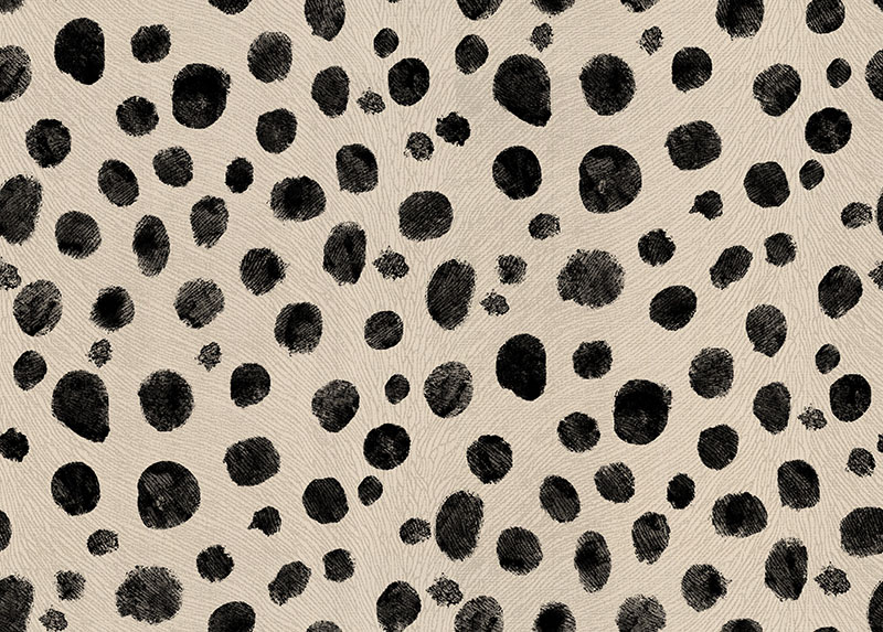 Dalmation