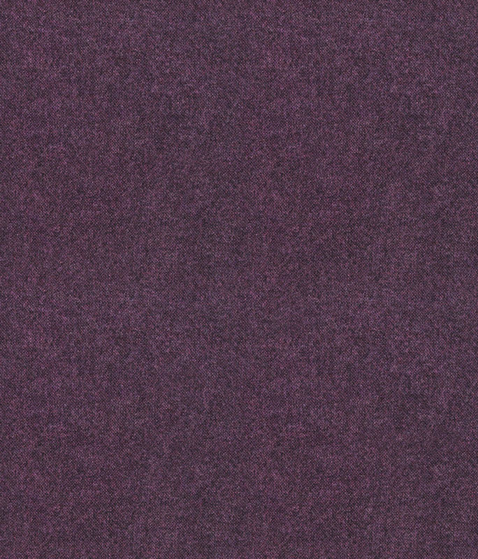 Elgar Plain Elderberry