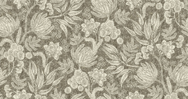 Isabella Colour 3