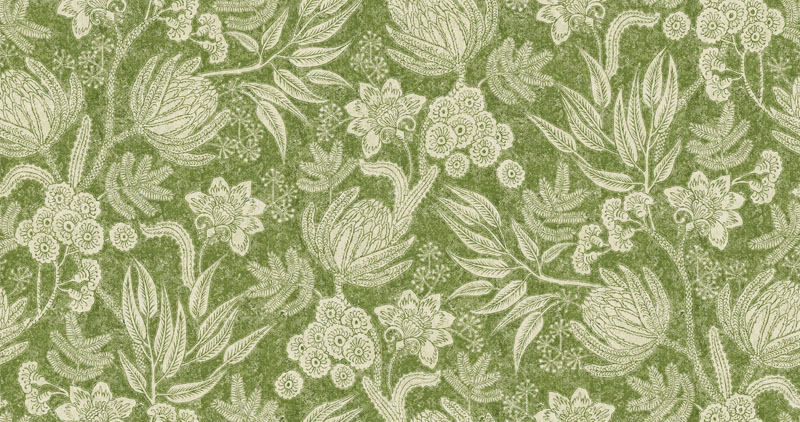 Isabella Colour 7