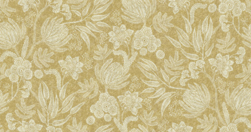 Isabella Colour 8