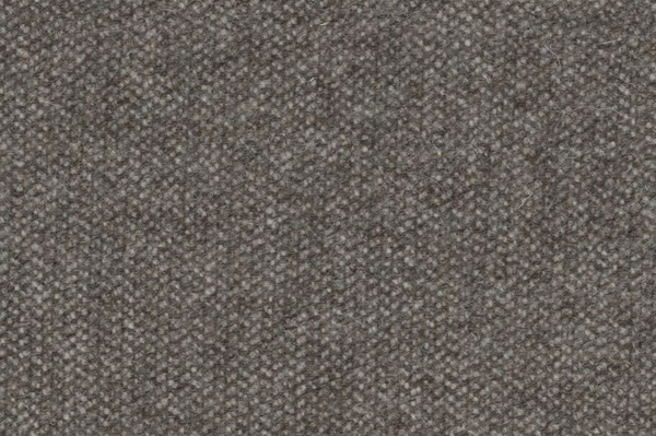 James Plain Nickel