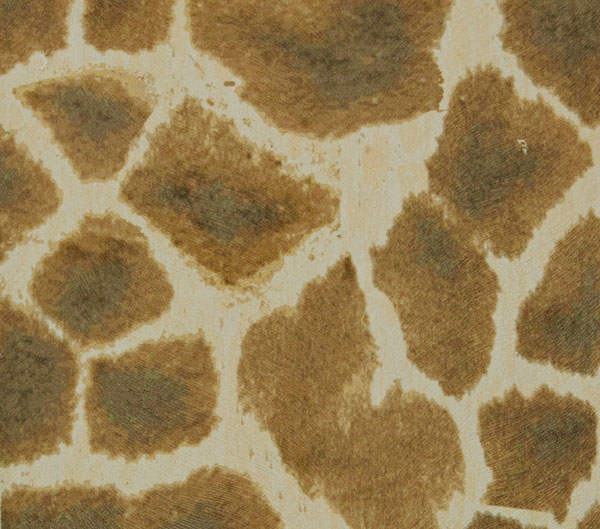 Madagascar