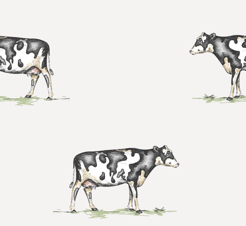 Pendleton Cow Optic