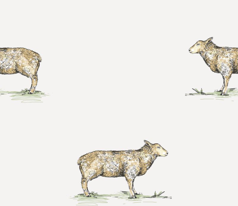 Pendleton Sheep Optic