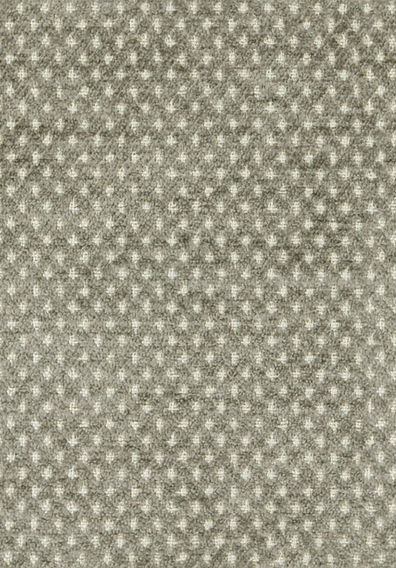 Quaker Lattice Colour 3